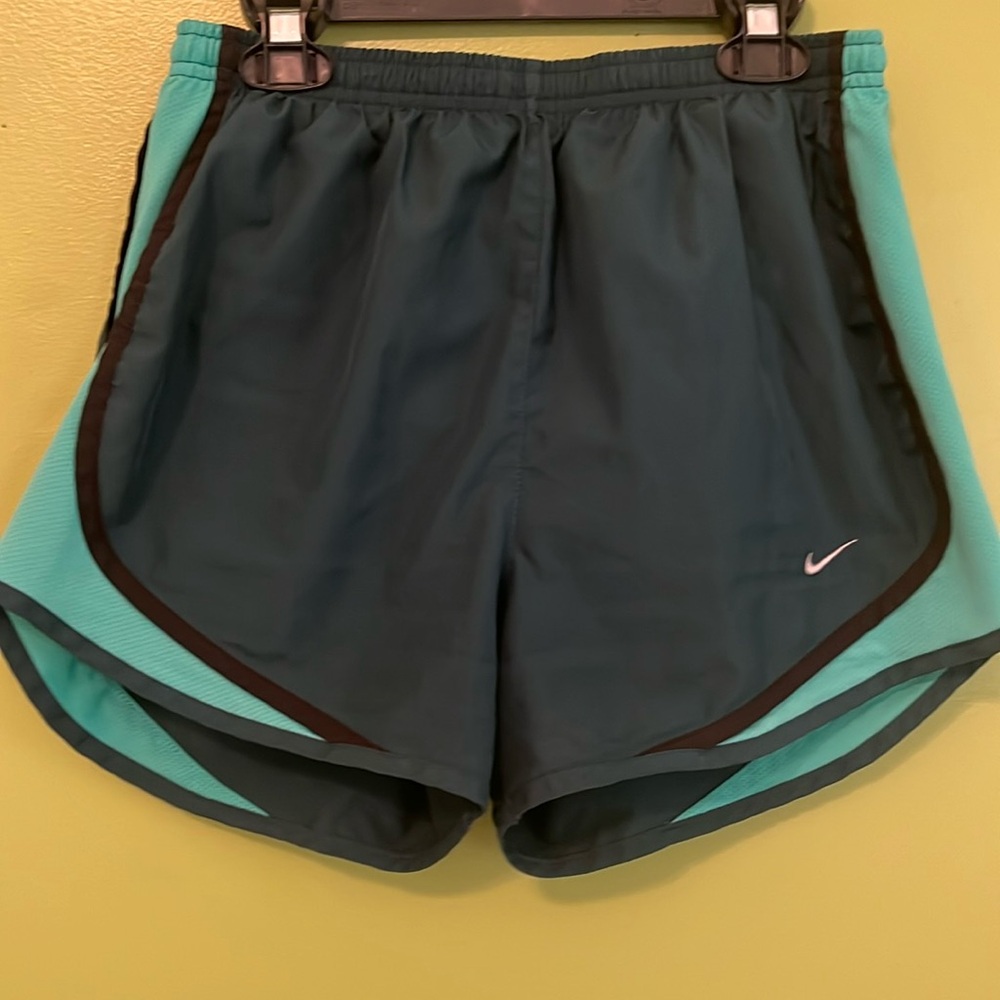 EUC Nike Dry-fit Shorts